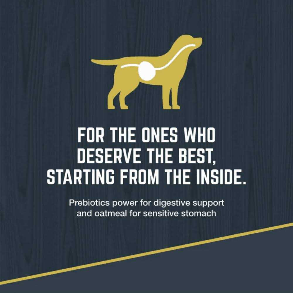 Black Gold Explorer Dog Food Chicken Meal & Brown Rice Formula - Nail Gallerys