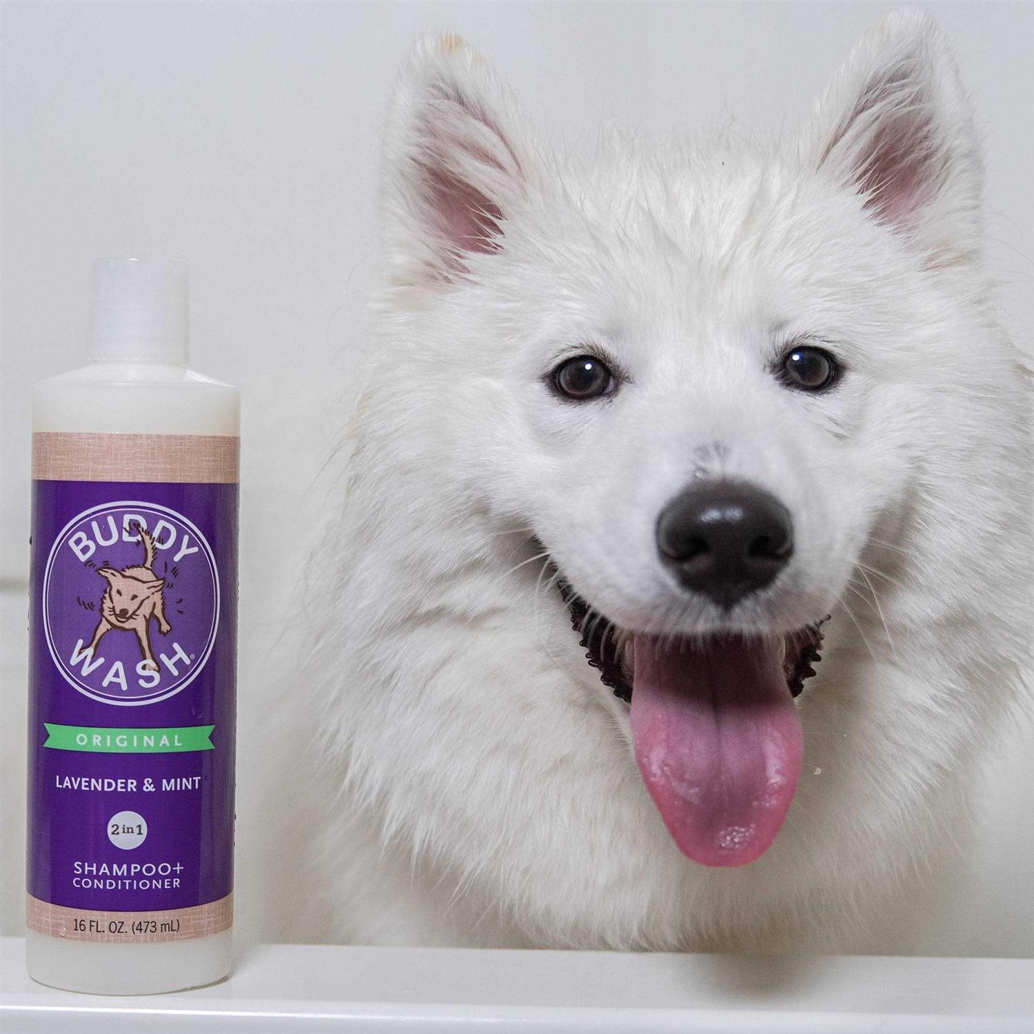 Cloud Star Buddy Wash Lavender & Mint Dog Shampoo & Conditioner - Nail Gallerys