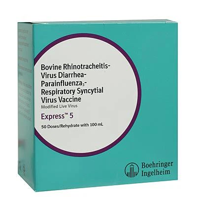 Express 5 - Nail Gallerys