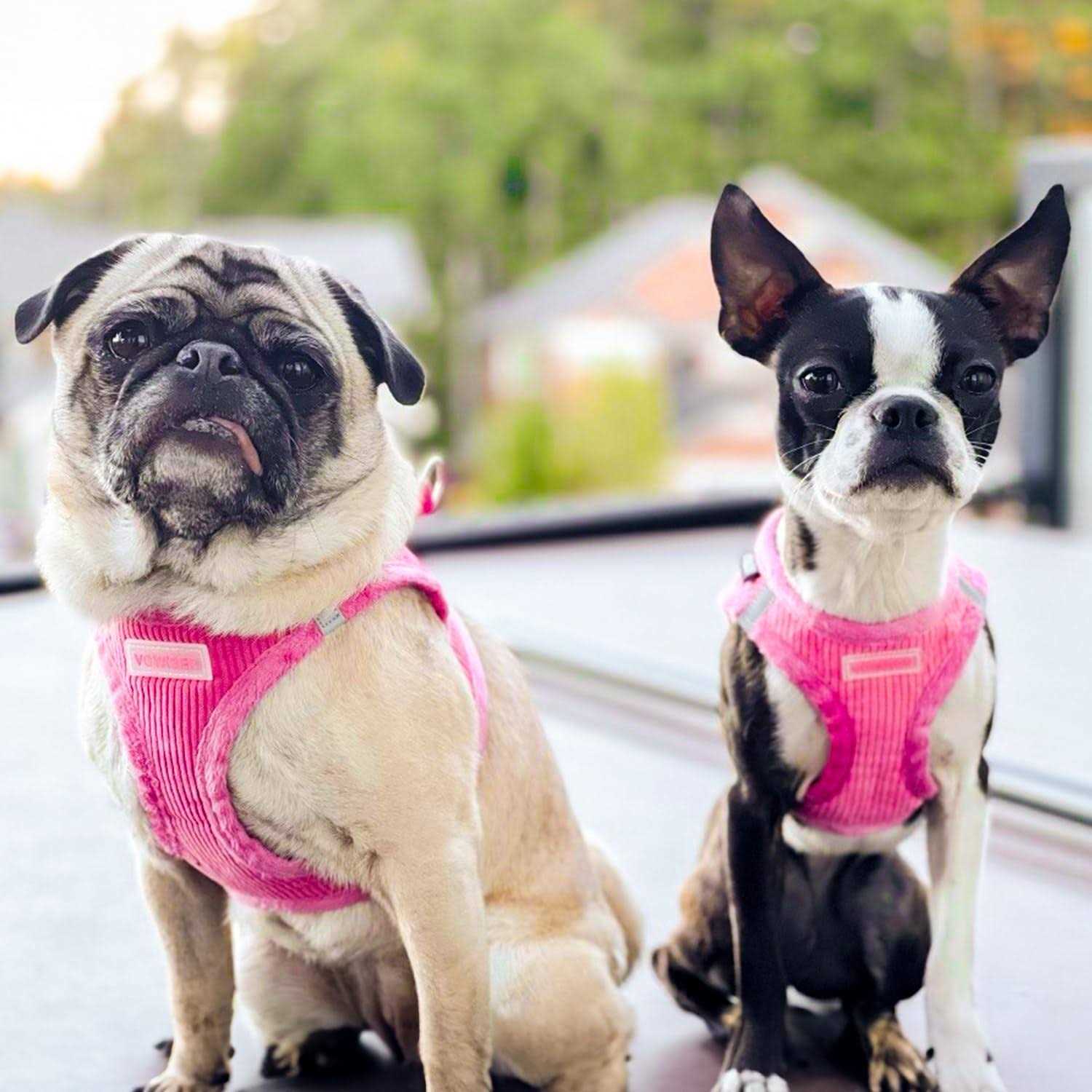 Voyager Step-In Plush Dog Harness Soft Plush, Step In Vest Harness for Small and Medium Dogs by Best Pet Supplies - Nail Gallerys