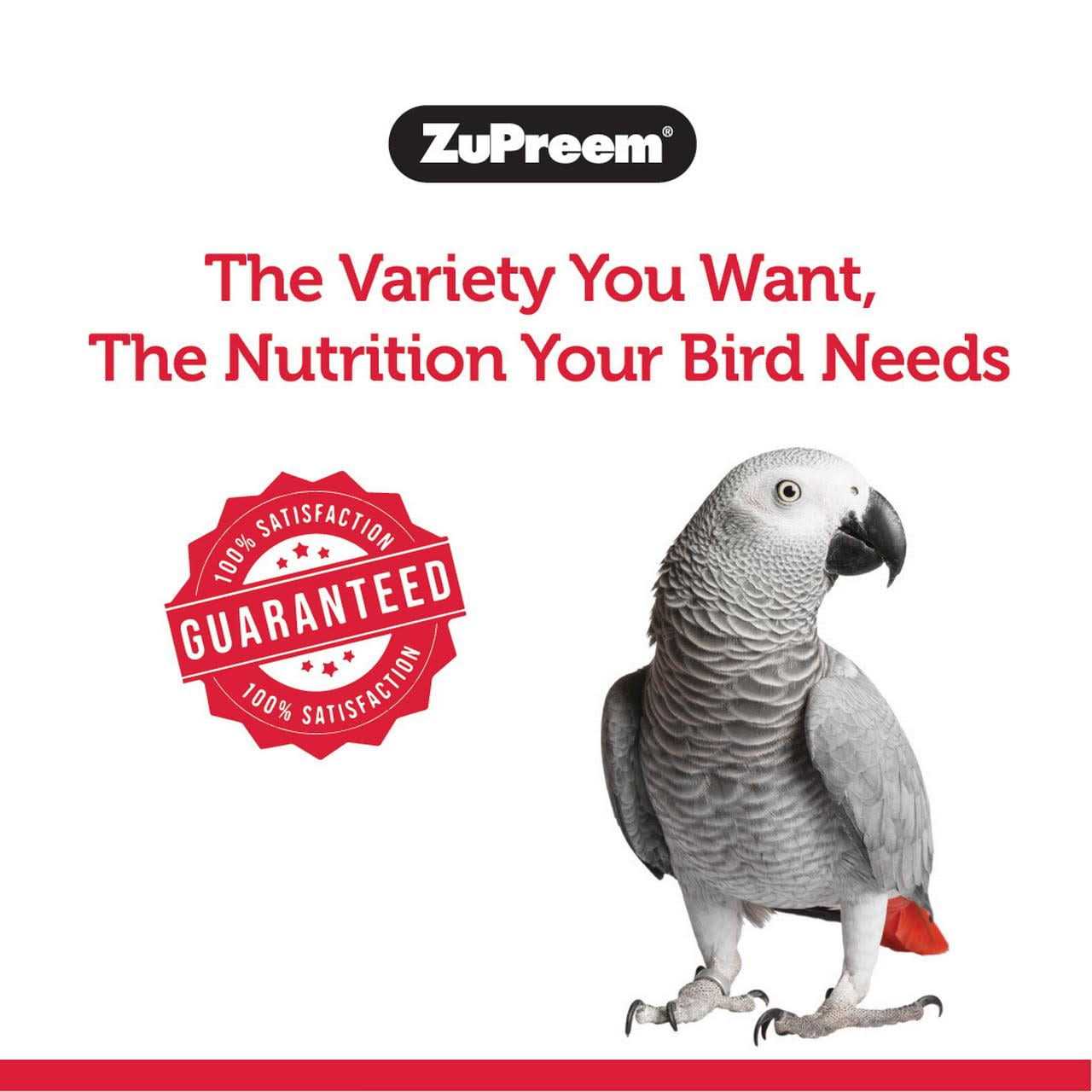 Zupreem FruitBlend Flavor Bird Food - Nail Gallerys