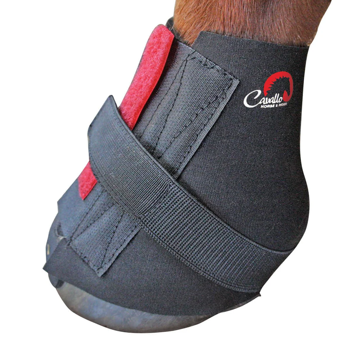 Cavallo's Pastern Wraps, pair - Nail Gallerys