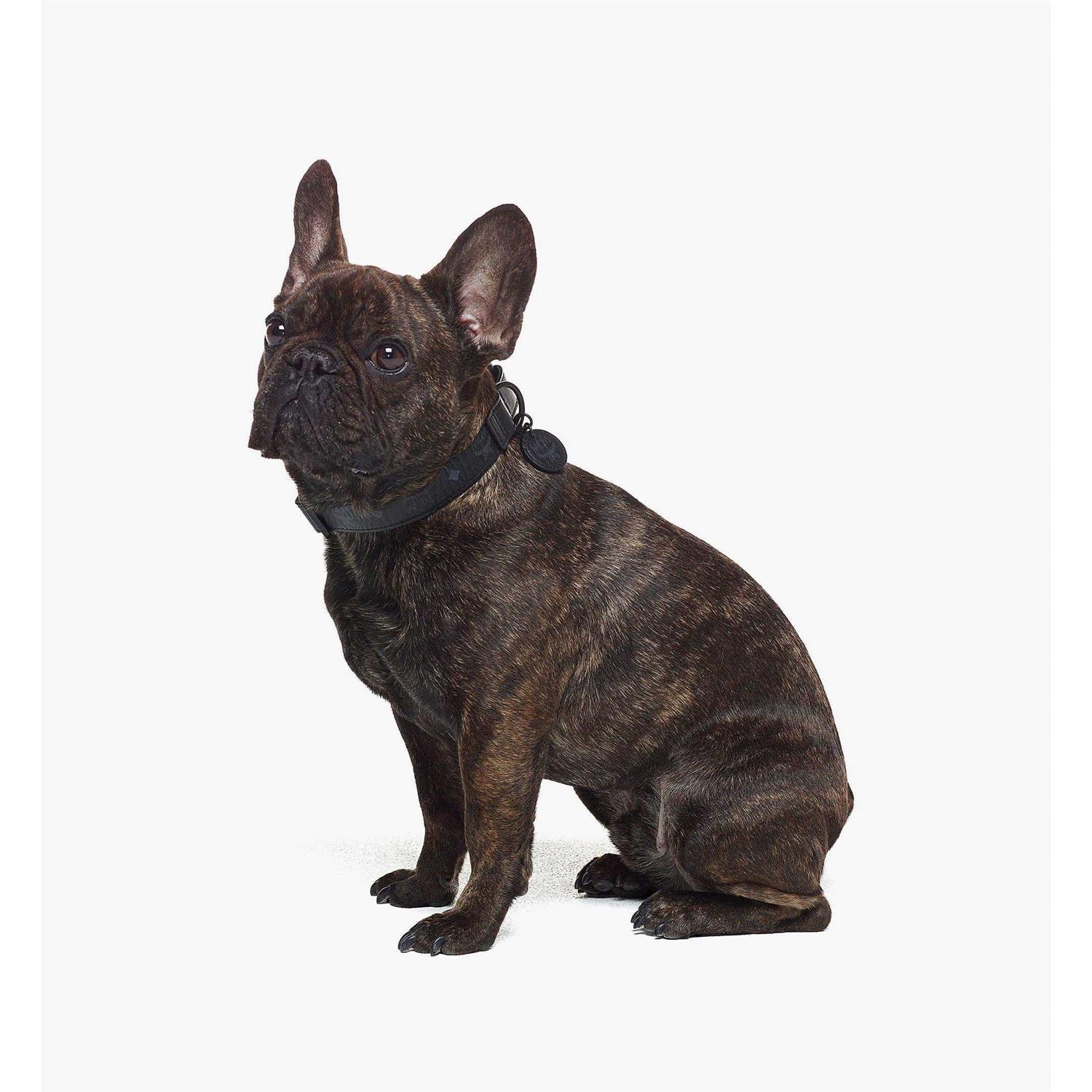 MCM Pet Collar in Visetos - Nail Gallerys