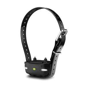 Garmin Pro 550 Handheld - Nail Gallerys