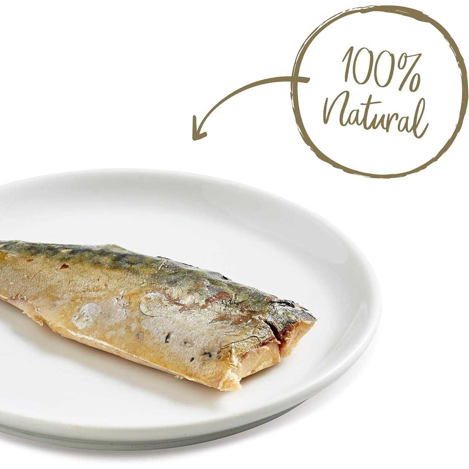 Applaws Natural Whole Mackerel Loin Cat Treat - Nail Gallerys
