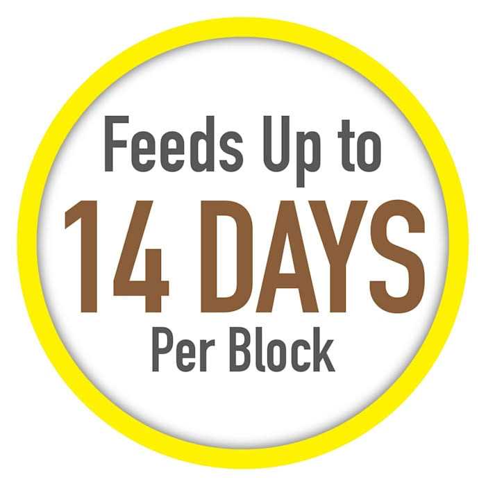 Tetra Vacation Tropical Slow Release Feeder - Nail Gallerys