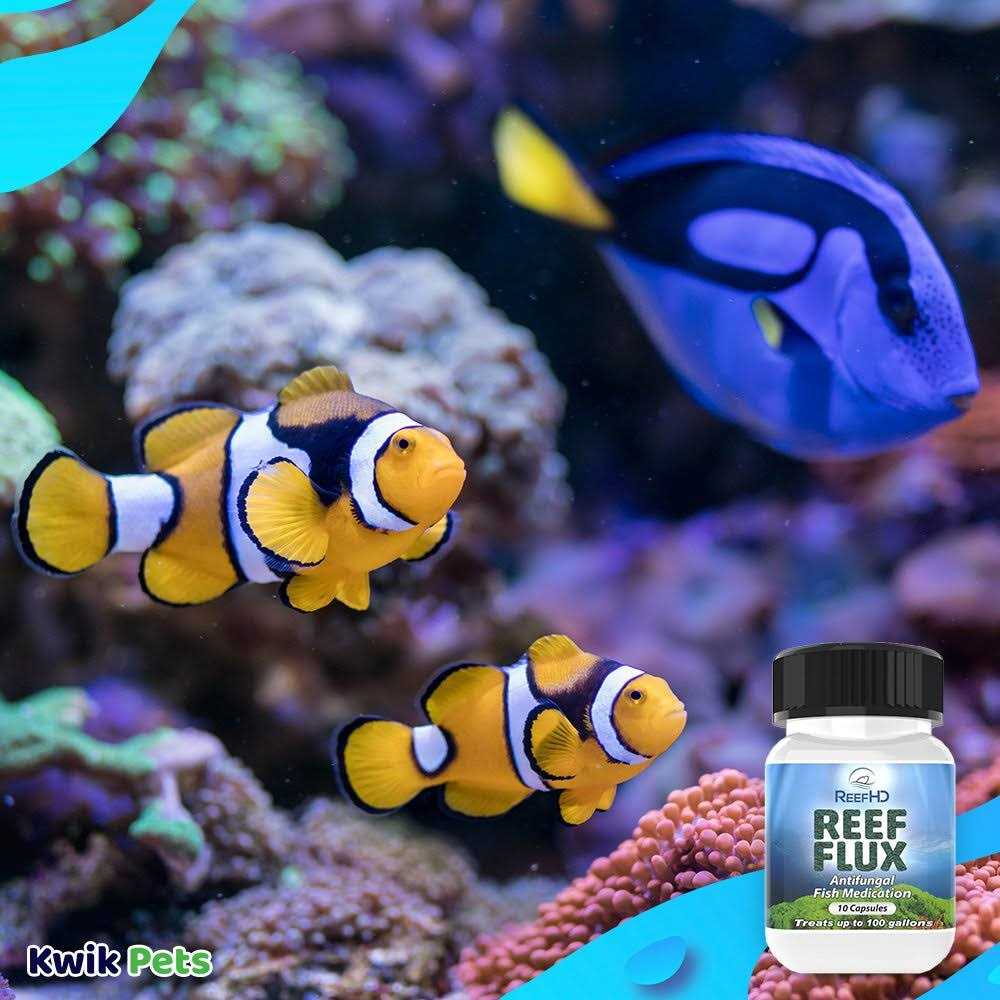 ReefHD Reef Flux Anti-Fungal Treatment - Nail Gallerys