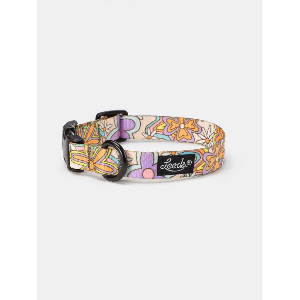 Leeds Dog Supply Dazey Collar - Nail Gallerys
