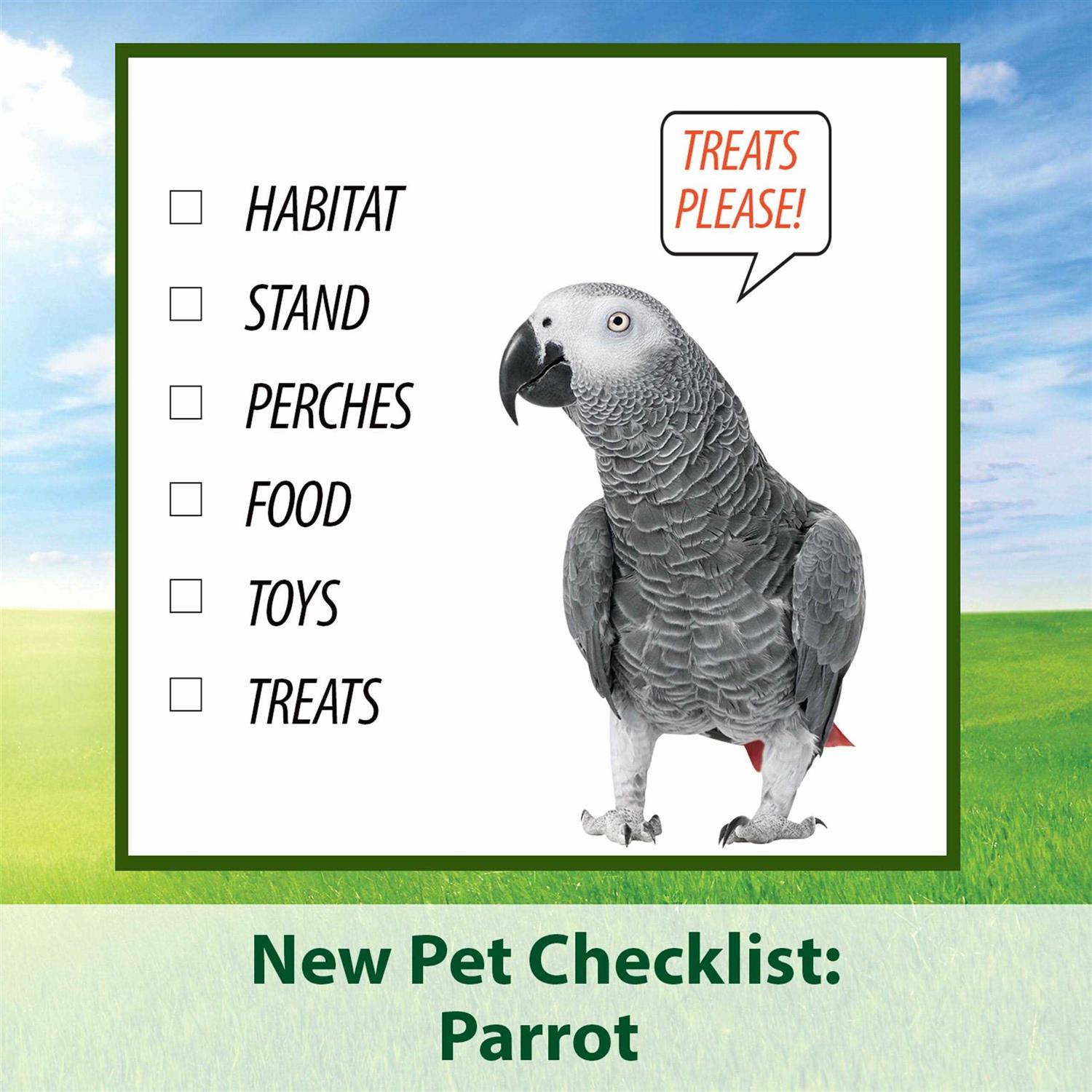 Kaytee Fiesta Parrot Food - Nail Gallerys
