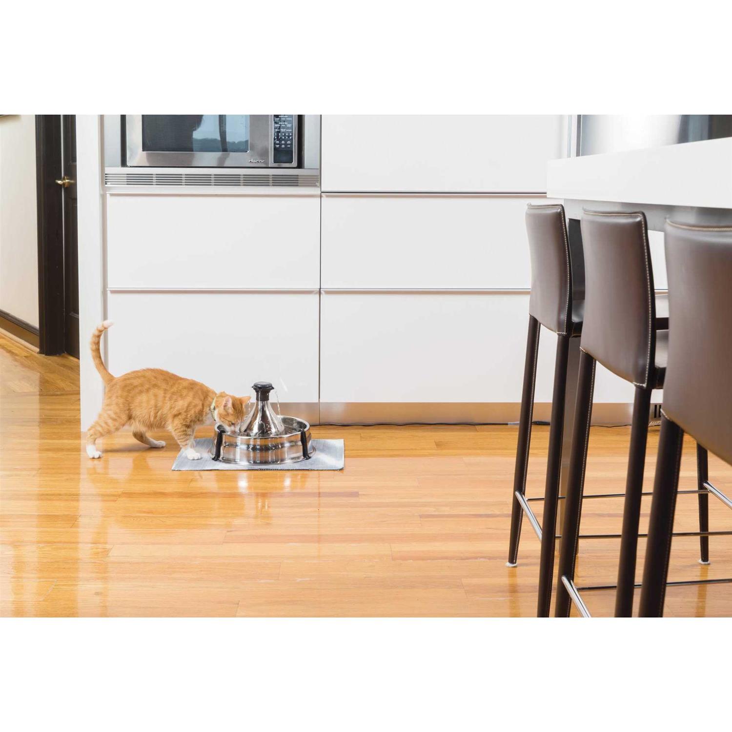 Drinkwell 360 Pet Fountain Stainless Steel PetSafe - Nail Gallerys