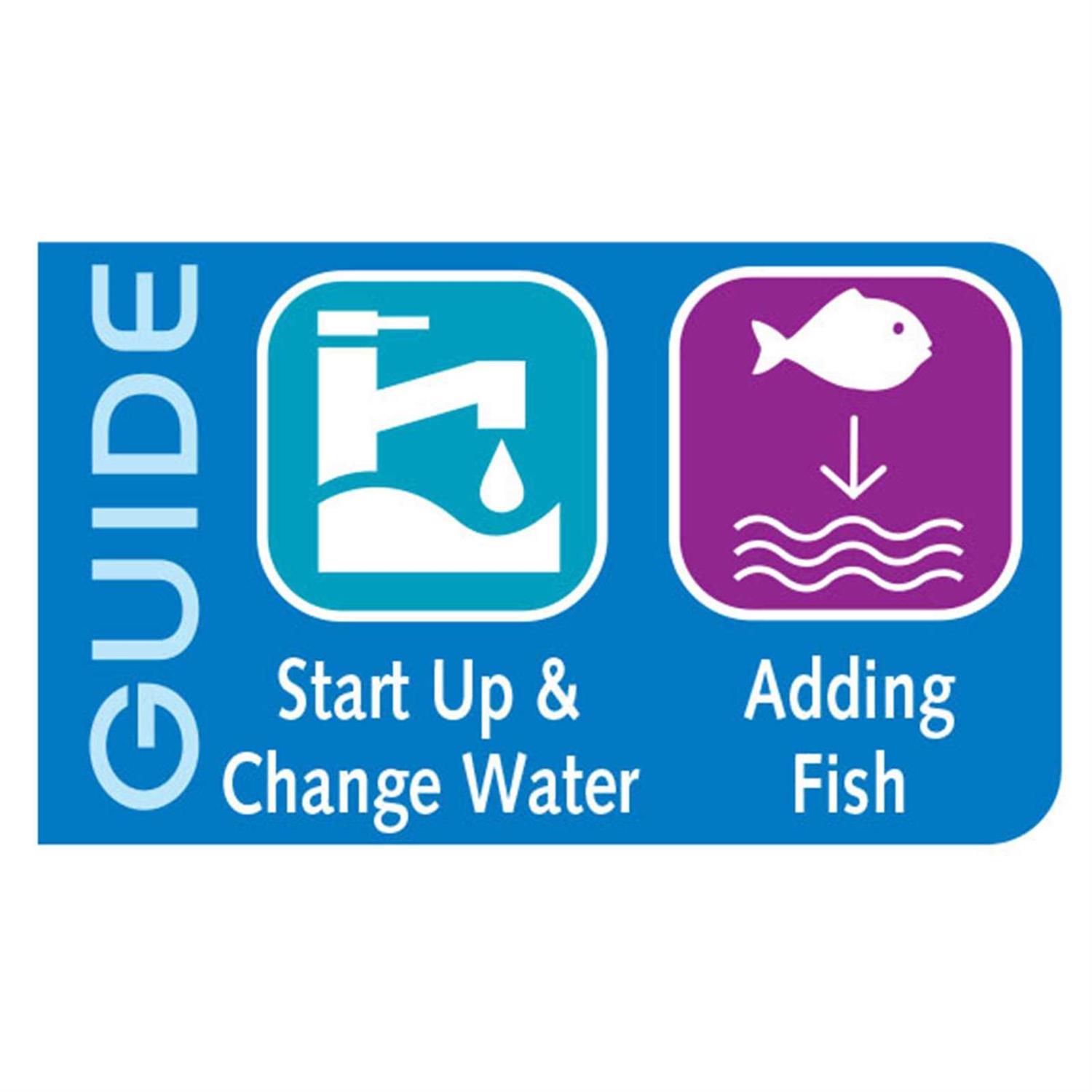 API Quick Start - Nail Gallerys