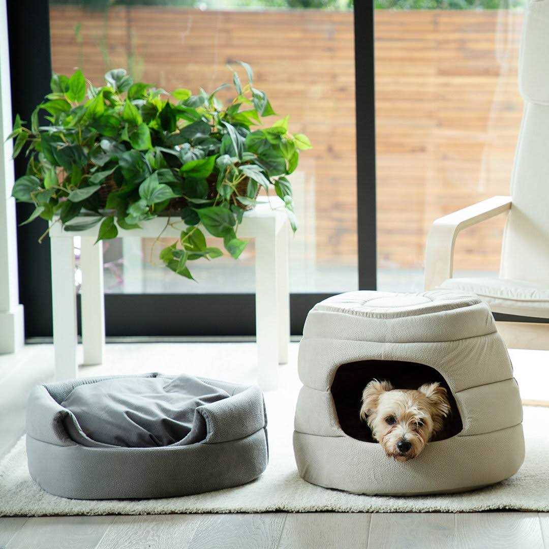 Best Friends by Sheri 2-in-1 Honeycomb Hut-Cuddler - Nail Gallerys