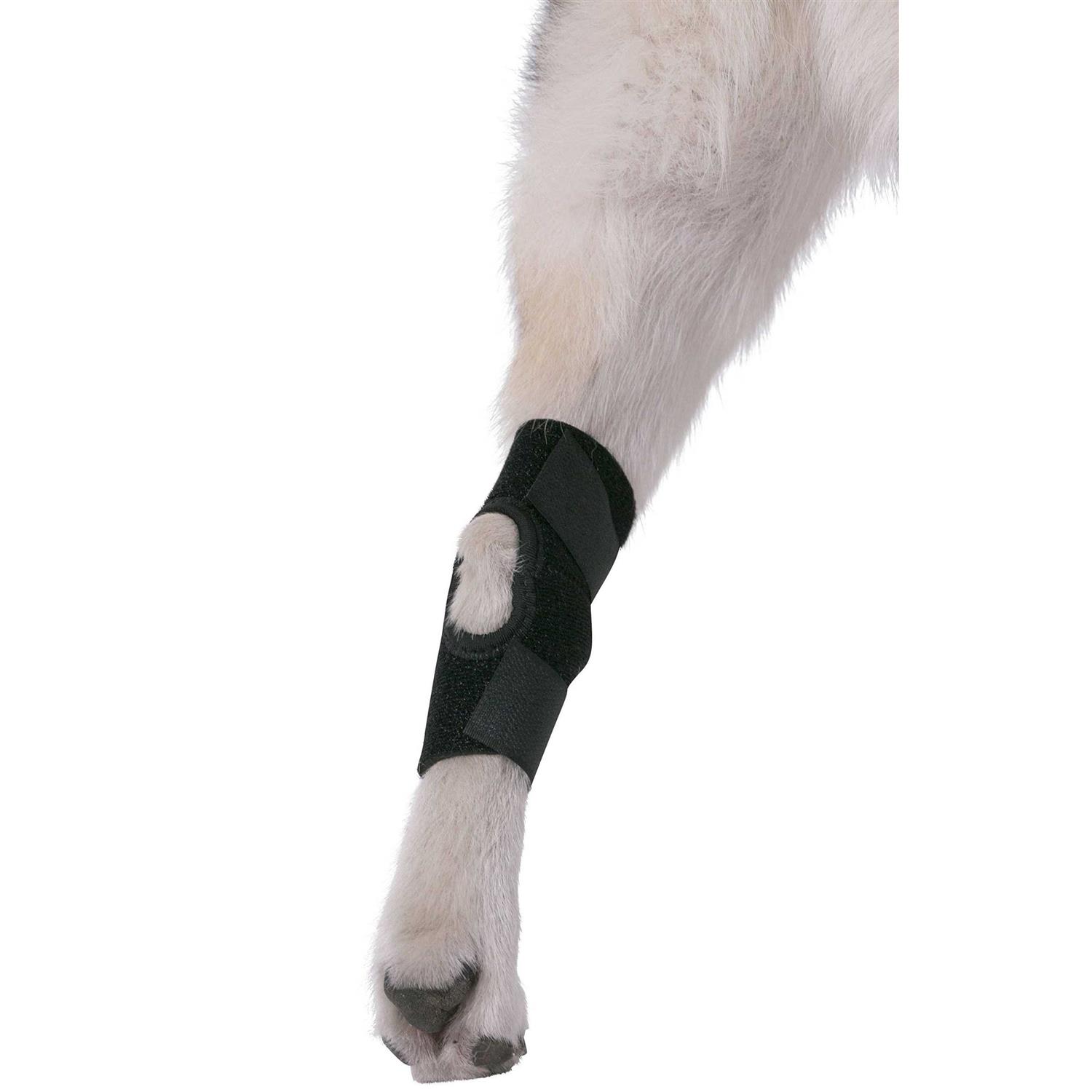 Agon Dog Canine Rear Hock Joint Brace Compression Wrap With Straps Dog For Back Leg Protects Wounds. Heals Prevents Injuries and Sprains Helps - Nail Gallerys
