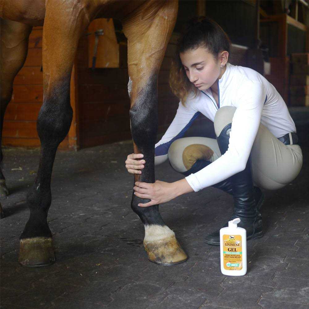 Absorbine Veterinary Liniment Gel - Nail Gallerys