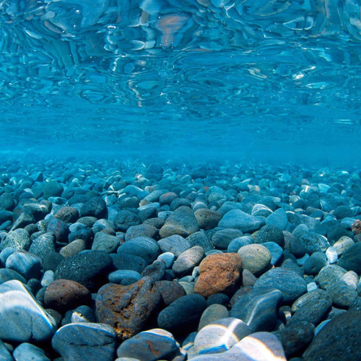 Seaview 10G-20L River Rock & Green Aquarium Background Decor - Nail Gallerys