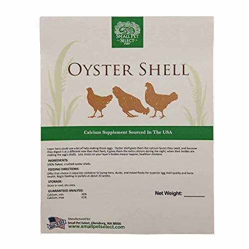 Small Pet Select Flaked Oyster and Seashell - Nail Gallerys