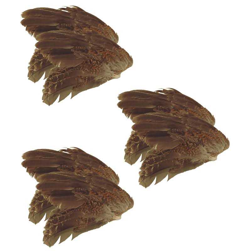 Classic T Designs Quail Wings 6 Pk - Nail Gallerys