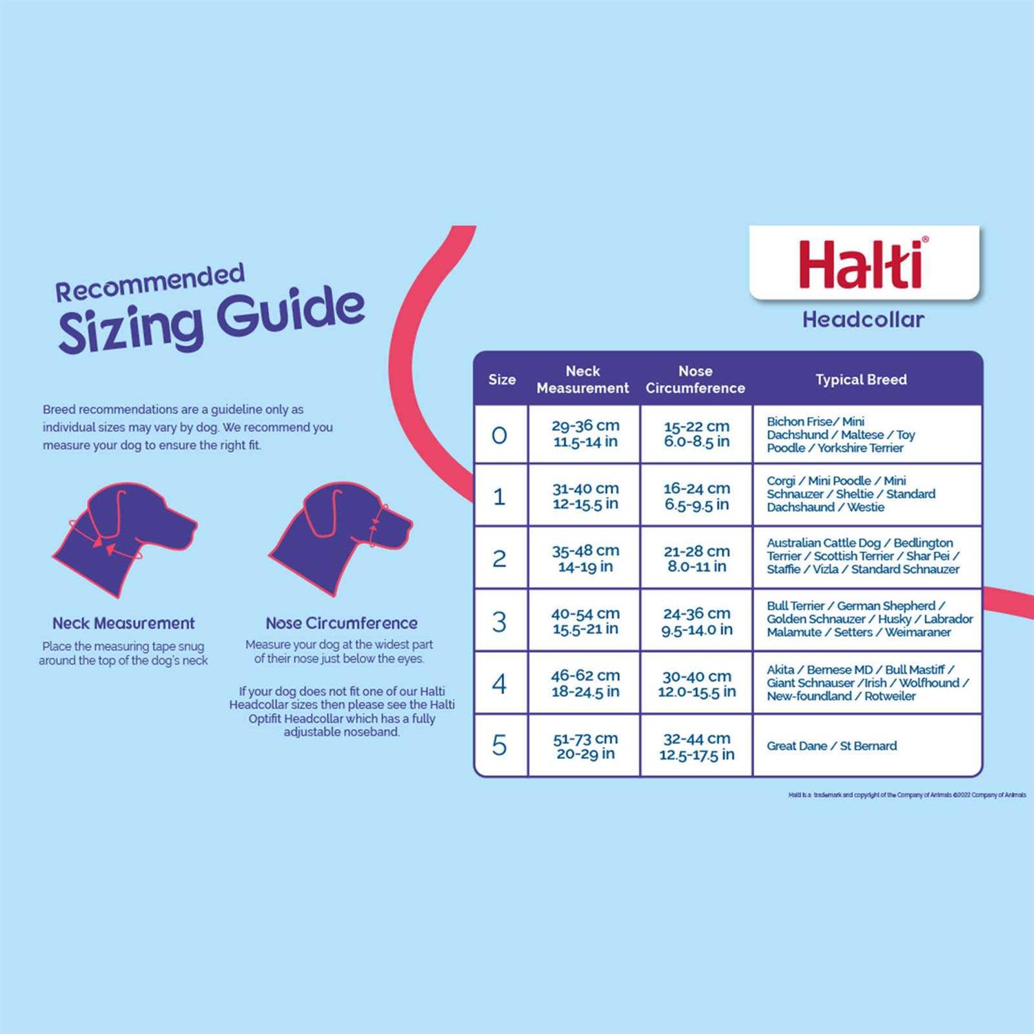 Halti Headcollar - Nail Gallerys