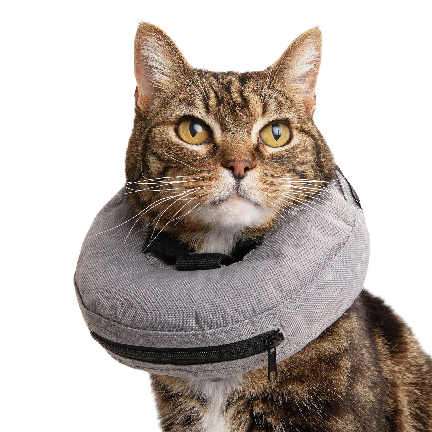 Well & Good Inflatable Recovery Cat Collar - Nail Gallerys