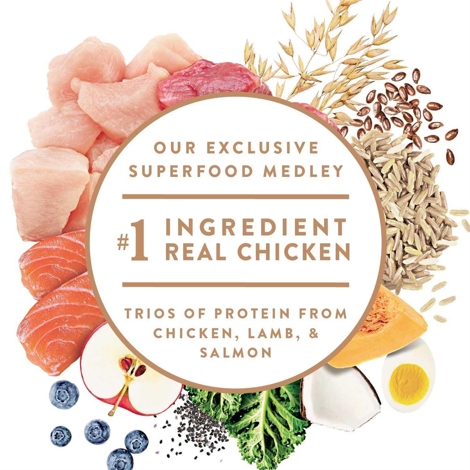 Nutro Ultra Senior Dry Dog Food - Nail Gallerys