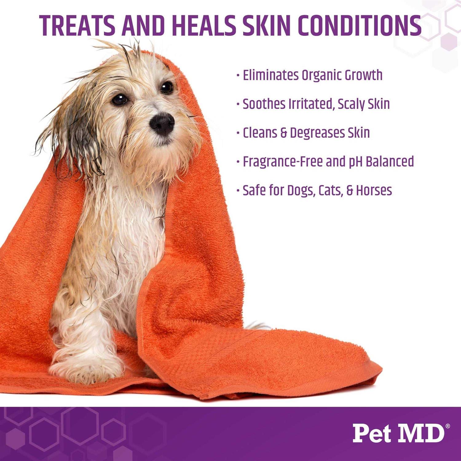 Pet MD Store Micoseb-CX Medicated Shampoo for Dogs - Nail Gallerys