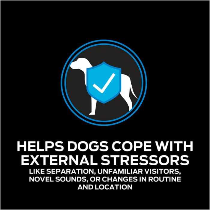 Purina Pro Plan Veterinary Supplements Calming Care - Nail Gallerys