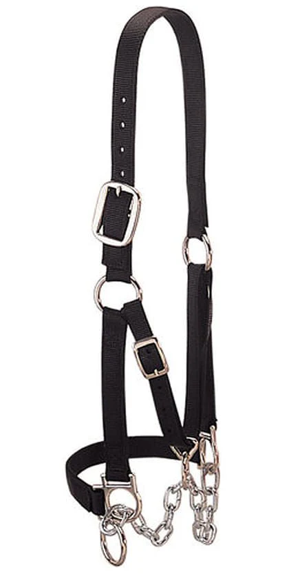 Weaver Heavy Duty Cow Restraint Halter, Black - Nail Gallerys