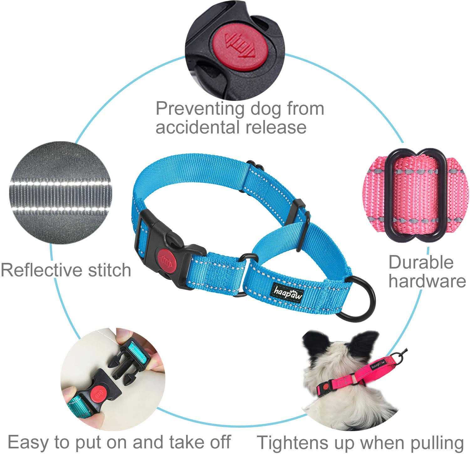Haapaw 2 Packs Martingale Dog Collar with Quick Release Buckle Reflective Dog Training Collars for Small Medium Large Dogs - Nail Gallerys