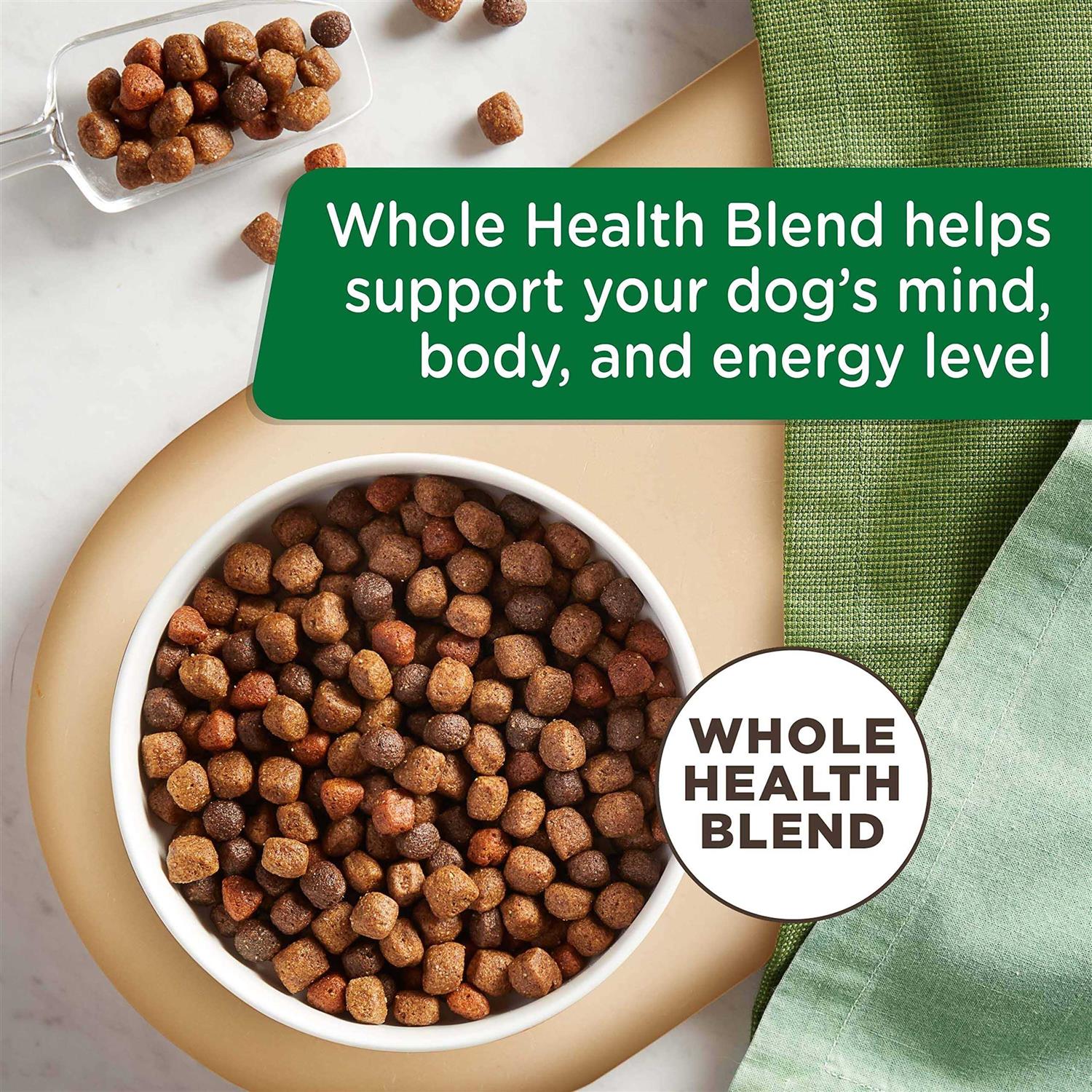 Rachael Ray Nutrish Dry Dog Food Real Chicken & Veggies Recipe - Nail Gallerys