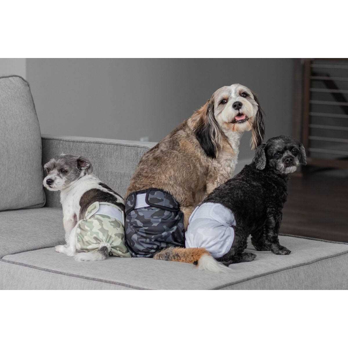 Pet Parents Washable Dog Diapers of Doggie Diapers - Nail Gallerys