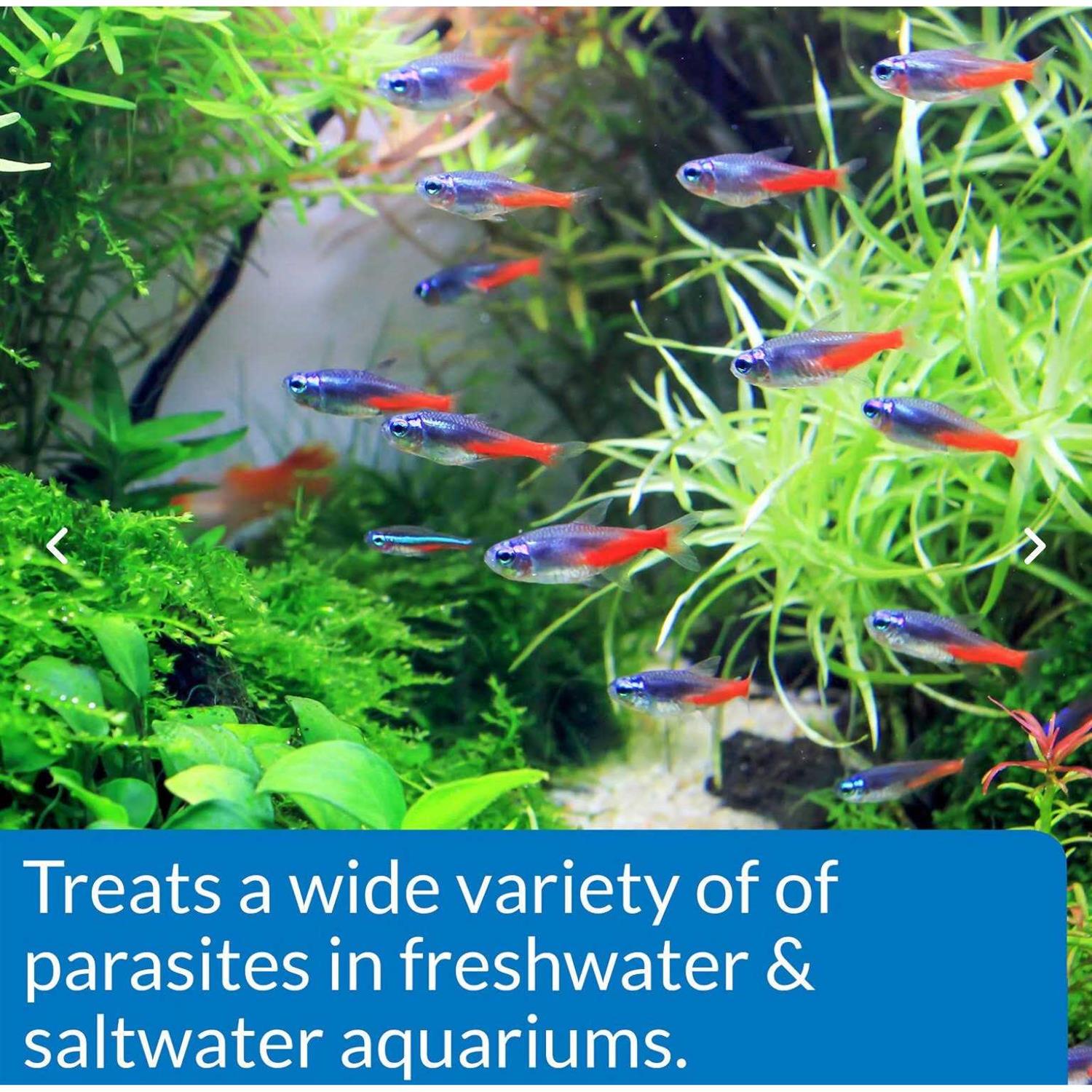 API E.M. Erythromycin Powder - Nail Gallerys