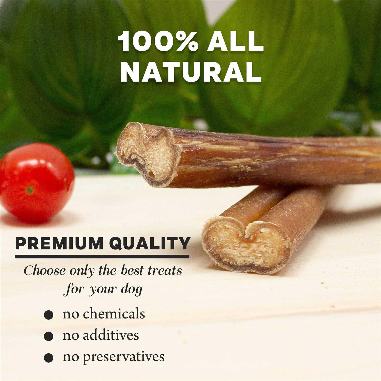 Downtown Pet Supply Bully Sticks Dogs - Nail Gallerys