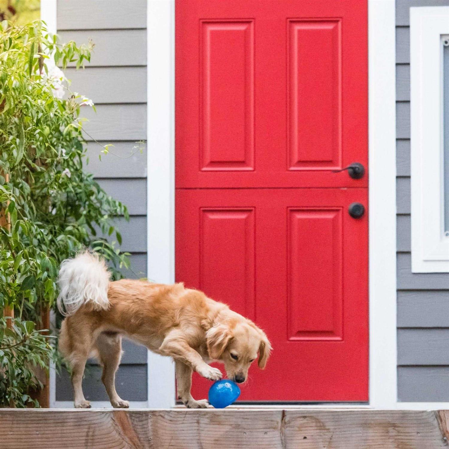 Planet Dog Orbee Tuff Snoop Dog Toy - Nail Gallerys