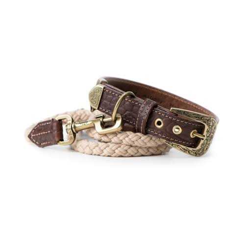MyFamily El Paso Genuine Embossed Italian Leather Dog Collar - Nail Gallerys