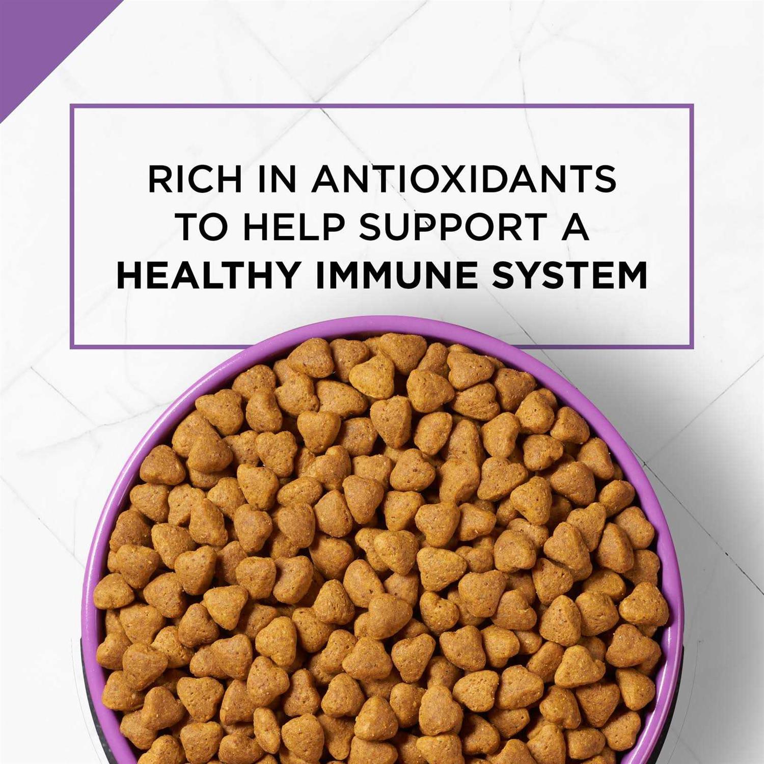 Purina Pro Plan Sport Dry Dog Food Performance 30/20 Formula - Nail Gallerys