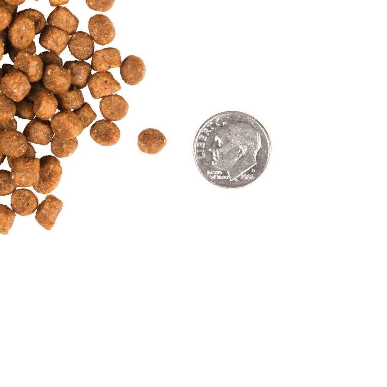 Fromm Gold Cat Food - Nail Gallerys