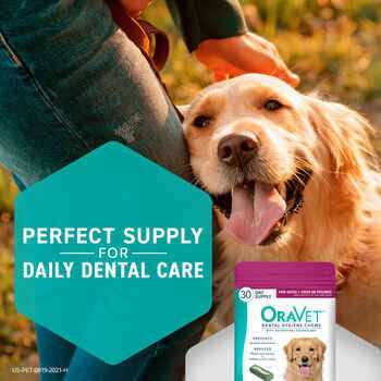 Oravet Dental Hygiene Chews Dogs - Nail Gallerys