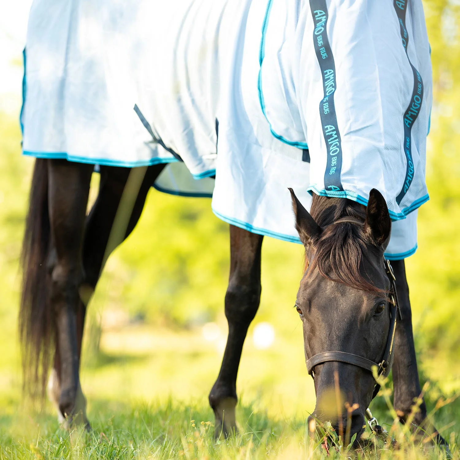 Amigo Bug Rug Horse Fly Sheet - Nail Gallerys