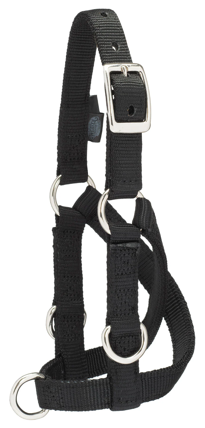 Sheep/Goat Treadmill Halter - Nail Gallerys