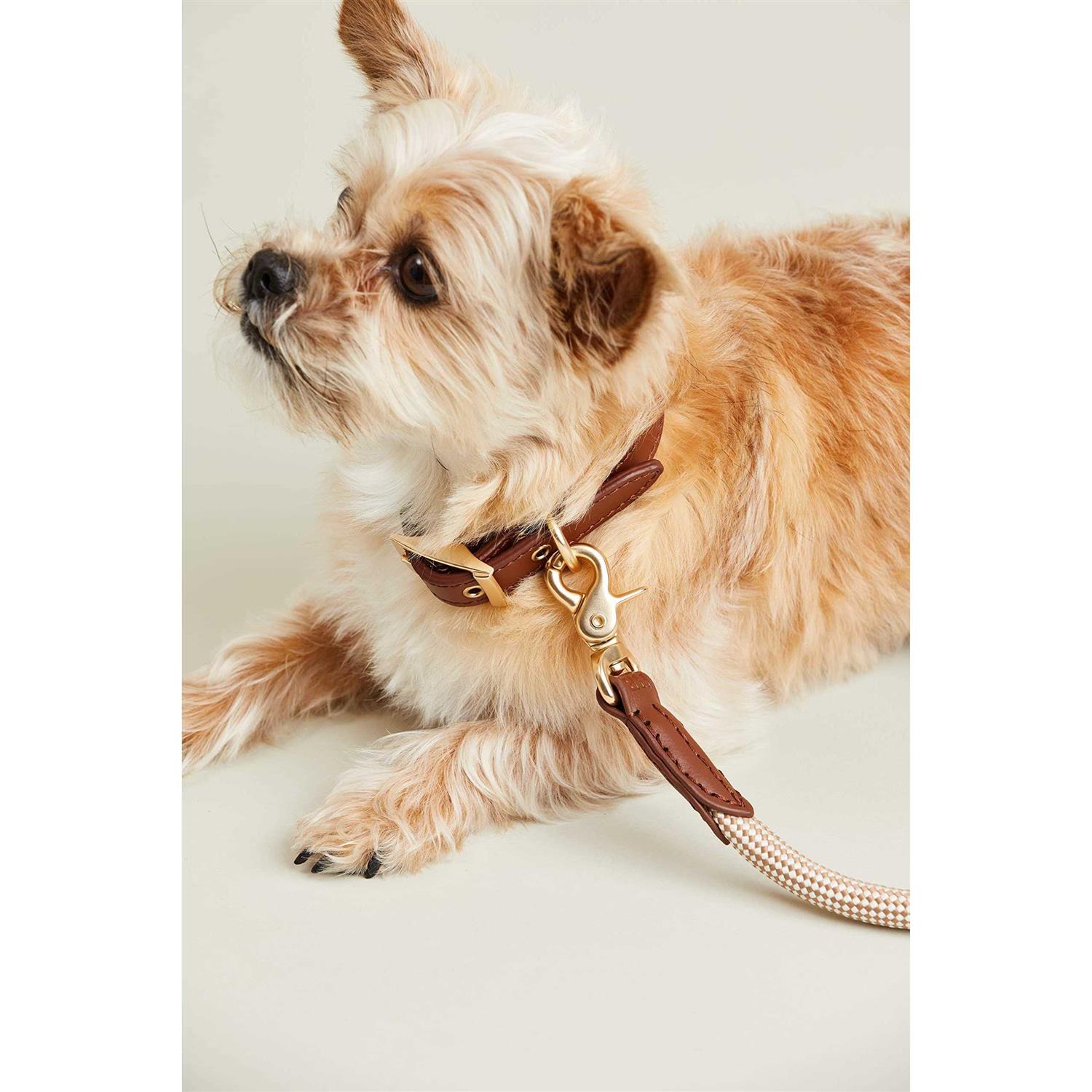 Harry Barker Check Rope Dog Leash - Nail Gallerys