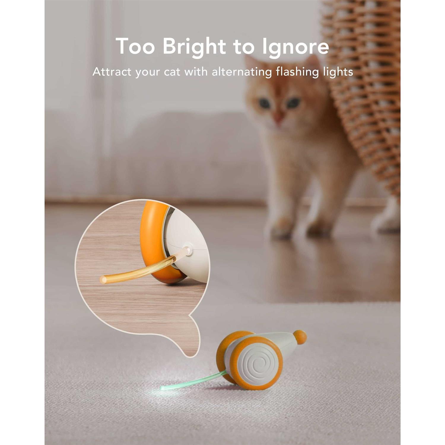 PETLIBRO Interactive Cat Toys for Indoor Cats Automatic Cat toy with LED Lights - Nail Gallerys