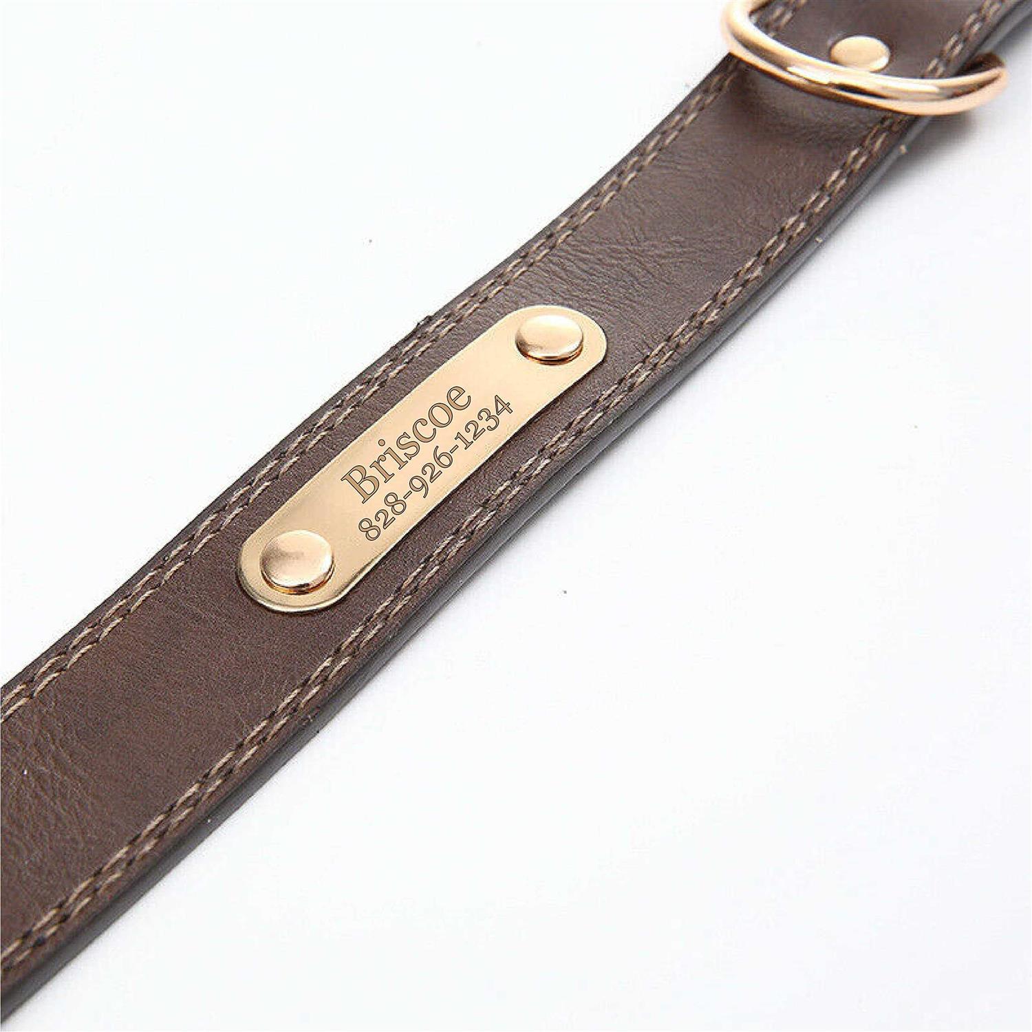 Express Pencils Personalized Dog Collar Engraved Soft Leather Custom Small - Nail Gallerys