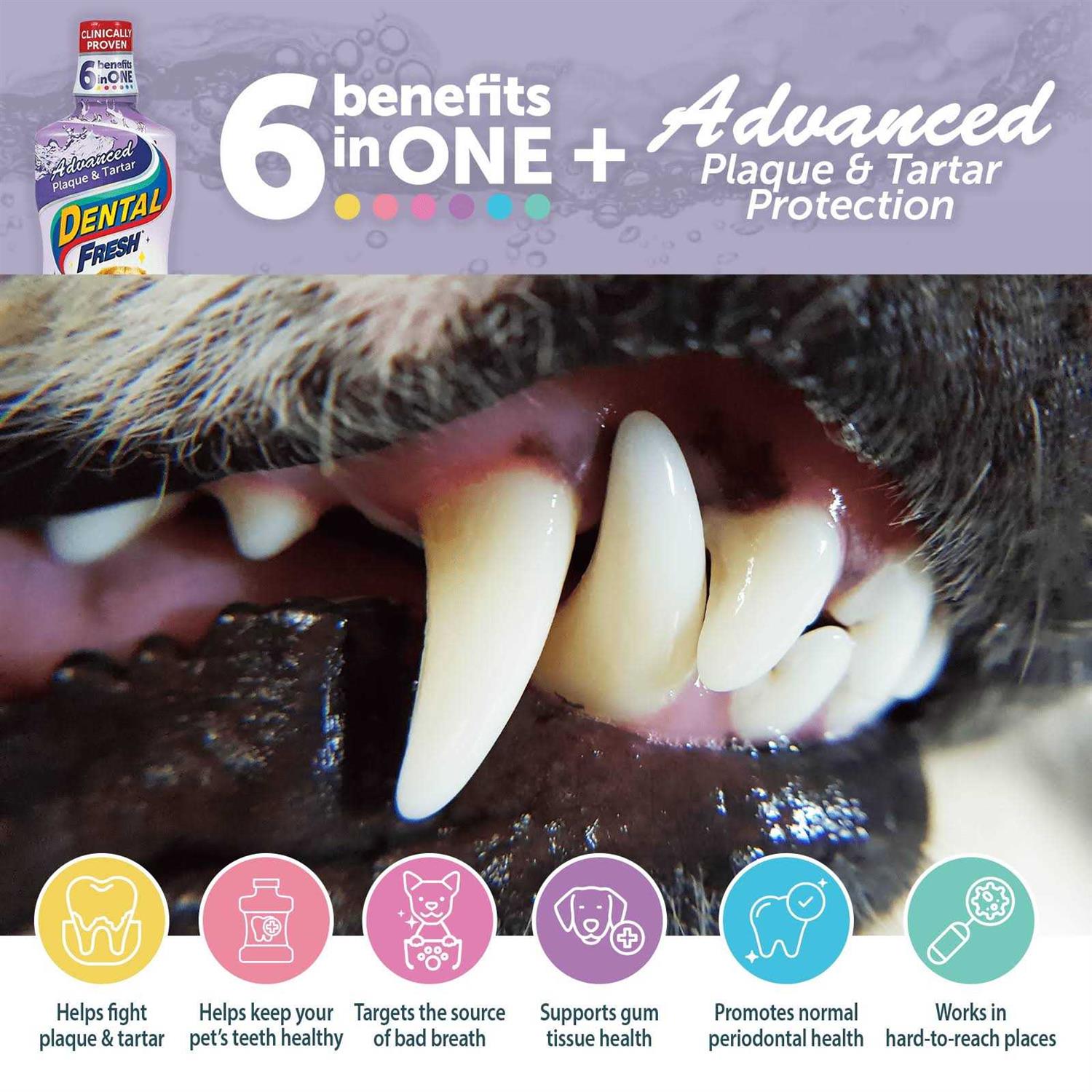 Dental Fresh Advanced Plaque and Tartar Water Additive for Dogs - Nail Gallerys