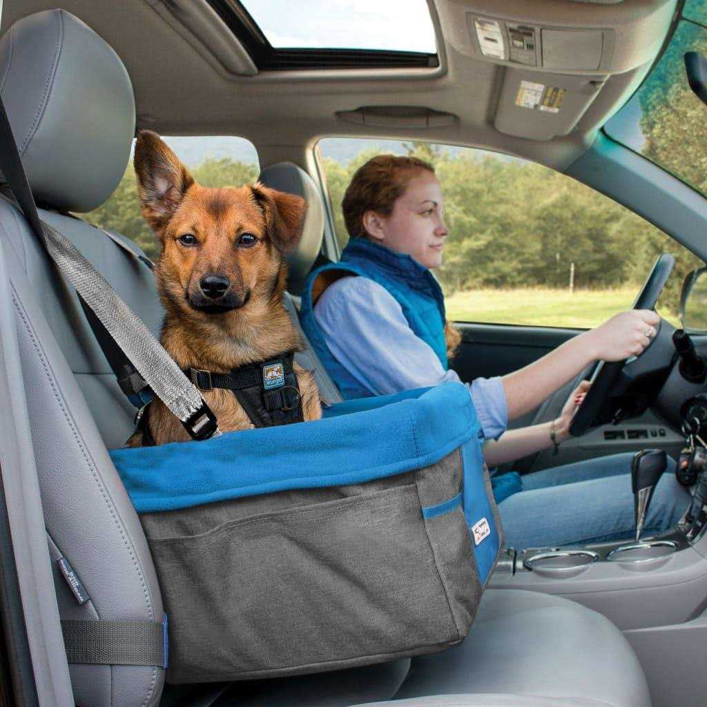 Kurgo Heather Dog Booster Seat - Nail Gallerys