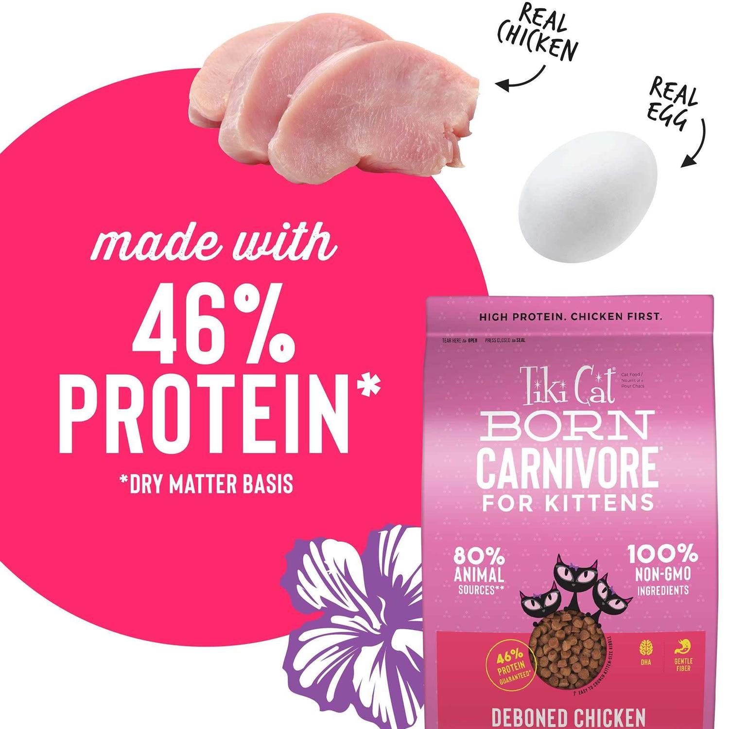 Tiki Cat Born Carnivore Chicken & Egg Kitten Dry Food - Nail Gallerys