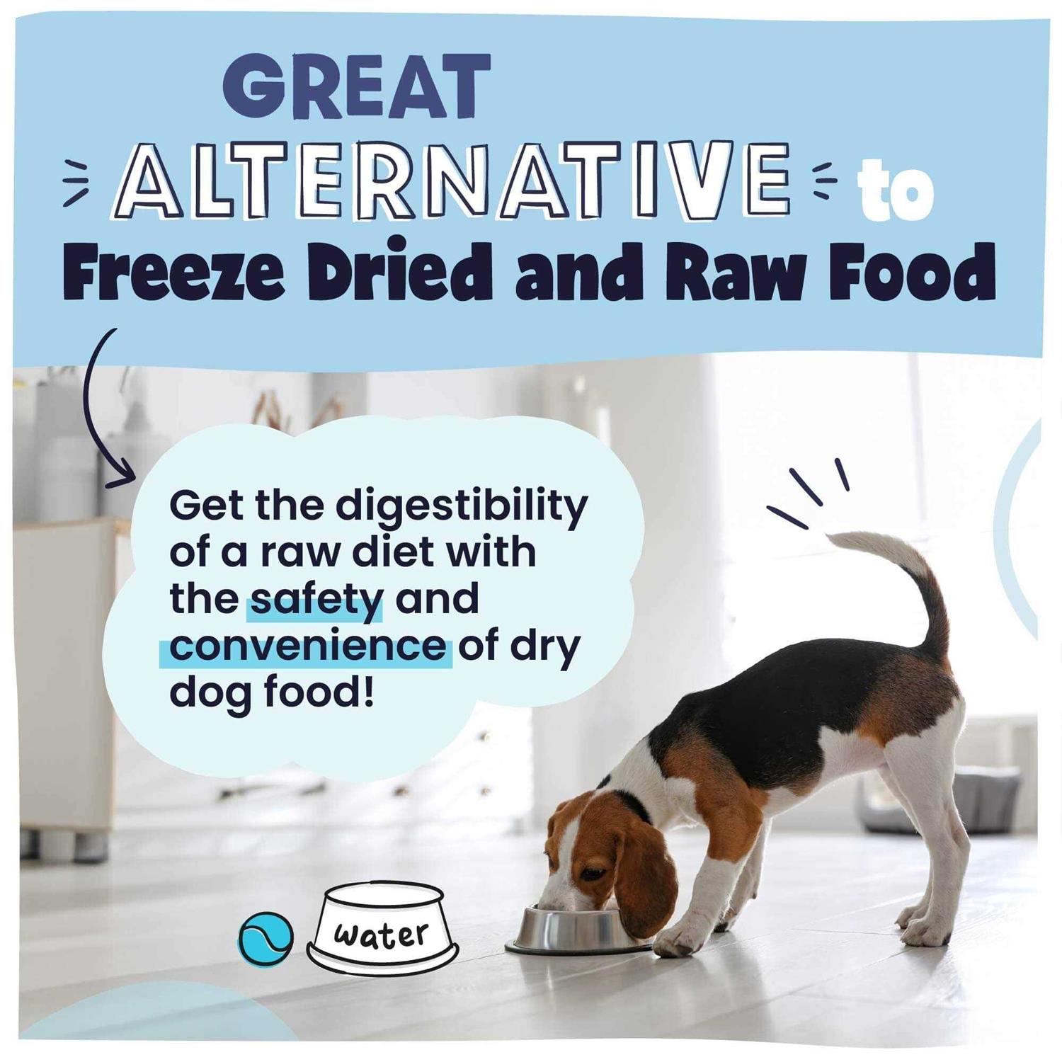 Pawstruck Recipe Grain-Free Air Dried Dog Food - Nail Gallerys