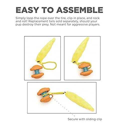 Outward Hound Tail Spinner Squeaky Furry Tail Chaser Dog Toy - Nail Gallerys