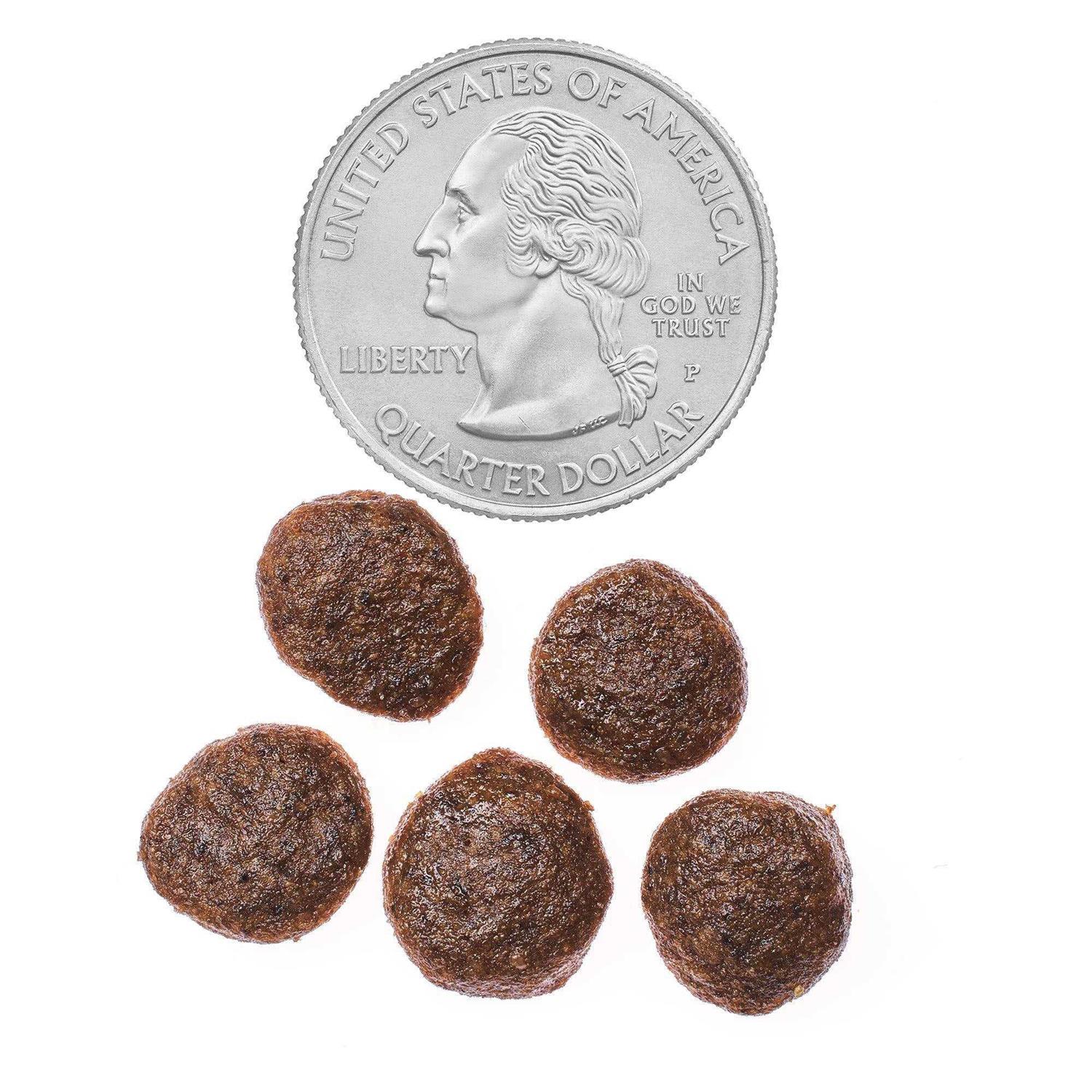 Ol Roy Complete Nutrition T-Bone & Bacon Flavor Dry Dog Food - Nail Gallerys