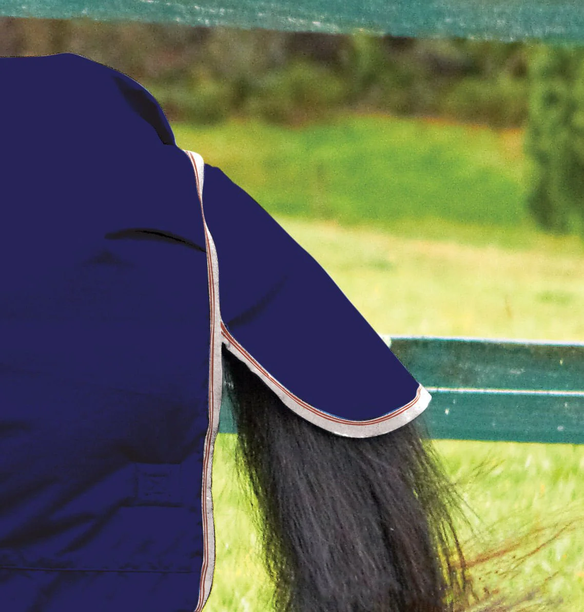 WeatherBeeta ComFiTec Essential Combo Neck Medium Weight Horse Blanket - Nail Gallerys