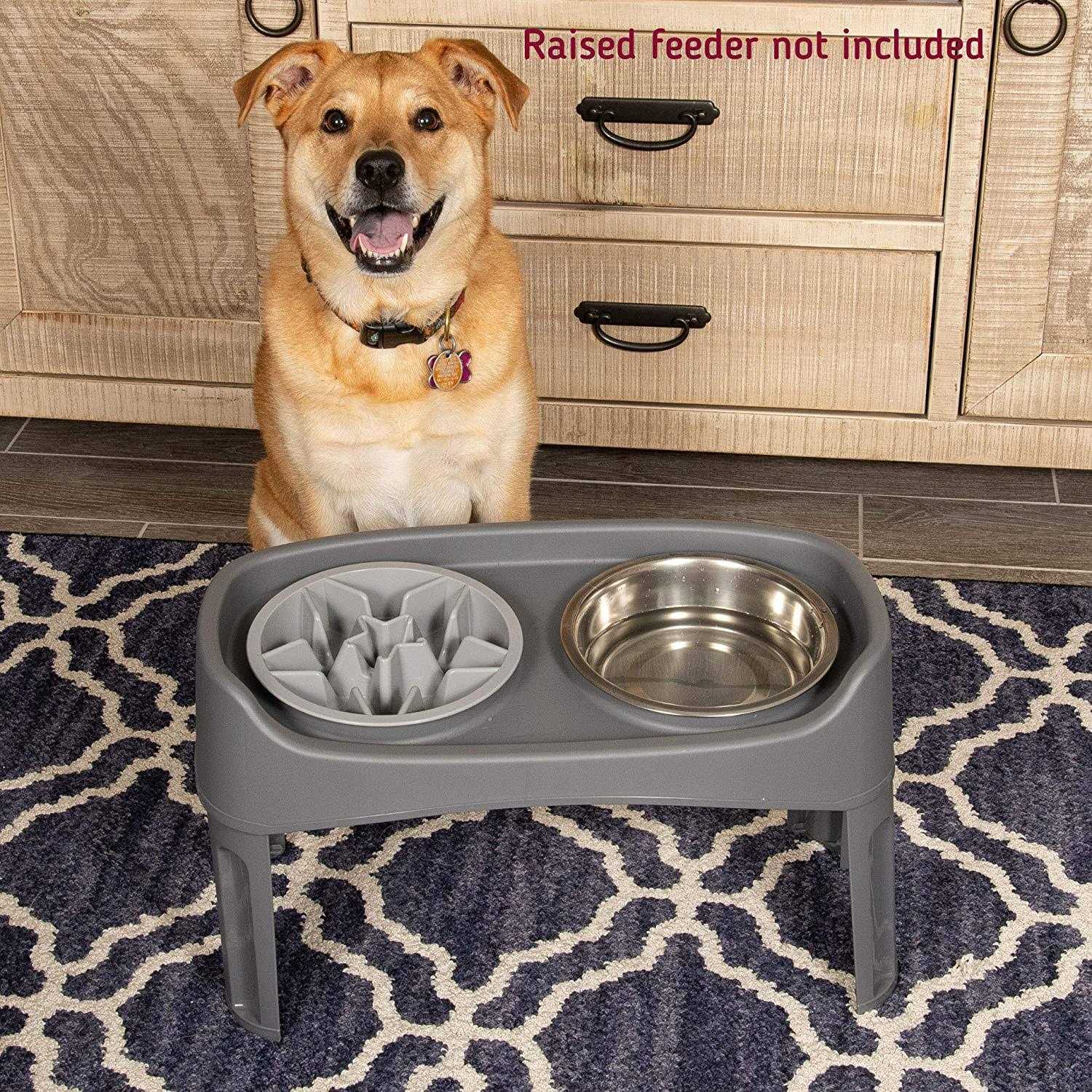 Leashboss Slow Feeder Dog Bowls Cup Maze Puzzle Food Bowl with Feeder Holes - Nail Gallerys